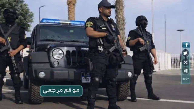 حملات مكثفة تضبط آلاف القضايا خلال 24 ساعة
