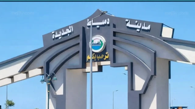 دمياط تعزز مهارات الشباب