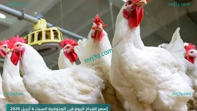 سعر الفراخ اليوم
