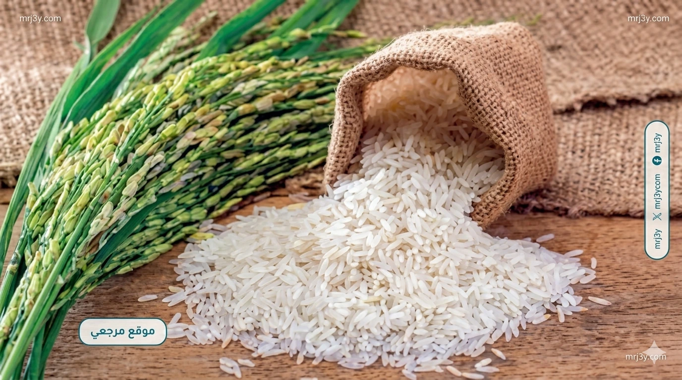 سعر طن الأرز الشعير اليوم