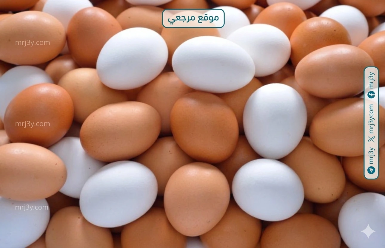 سعر كرتونة البيض اليوم