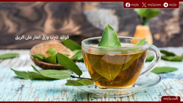 شاي ورق الغار وصفة طبيعية لعلاج الصداع وعسر الهضم