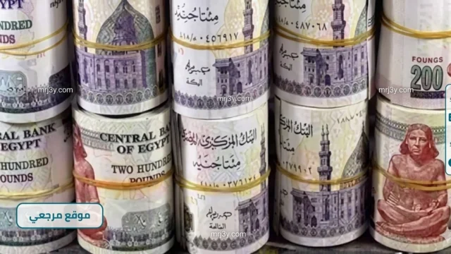 شهادات الادخار