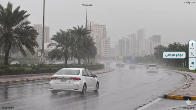 طقس مصر غدا