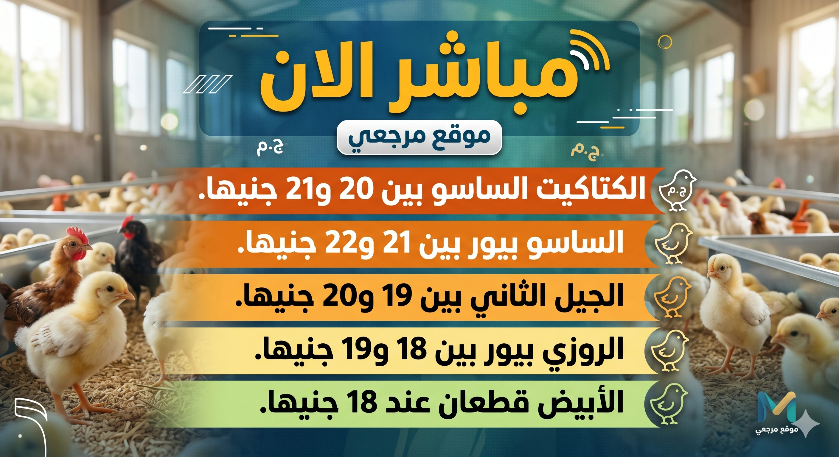 عاجل الان بورصة الدواجن أسعار الكتاكيت اليوم الاحد 26 ابريل 2026 سعر مباشر 2 عاجل الان بورصة الدواجن أسعار الكتاكيت اليوم الاحد 26 ابريل 2026 سعر مباشر