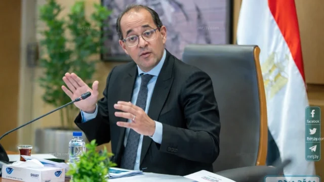 وزير المالية