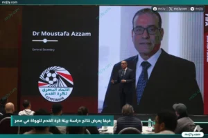 فيفا يعرض نتائج دراسة بيئة كرة القدم للهواة في مصر خلال ورشة عمل بالقاهرة