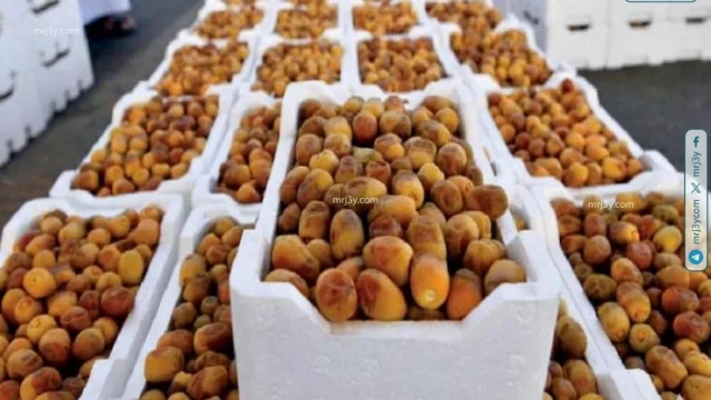 صادرات التمور السعودية تسجل نموا قياسيا