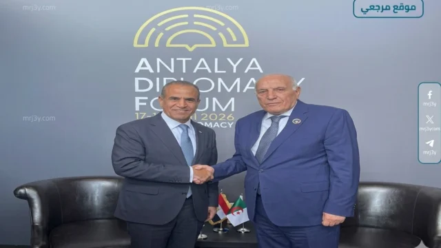 مصر الجزائر