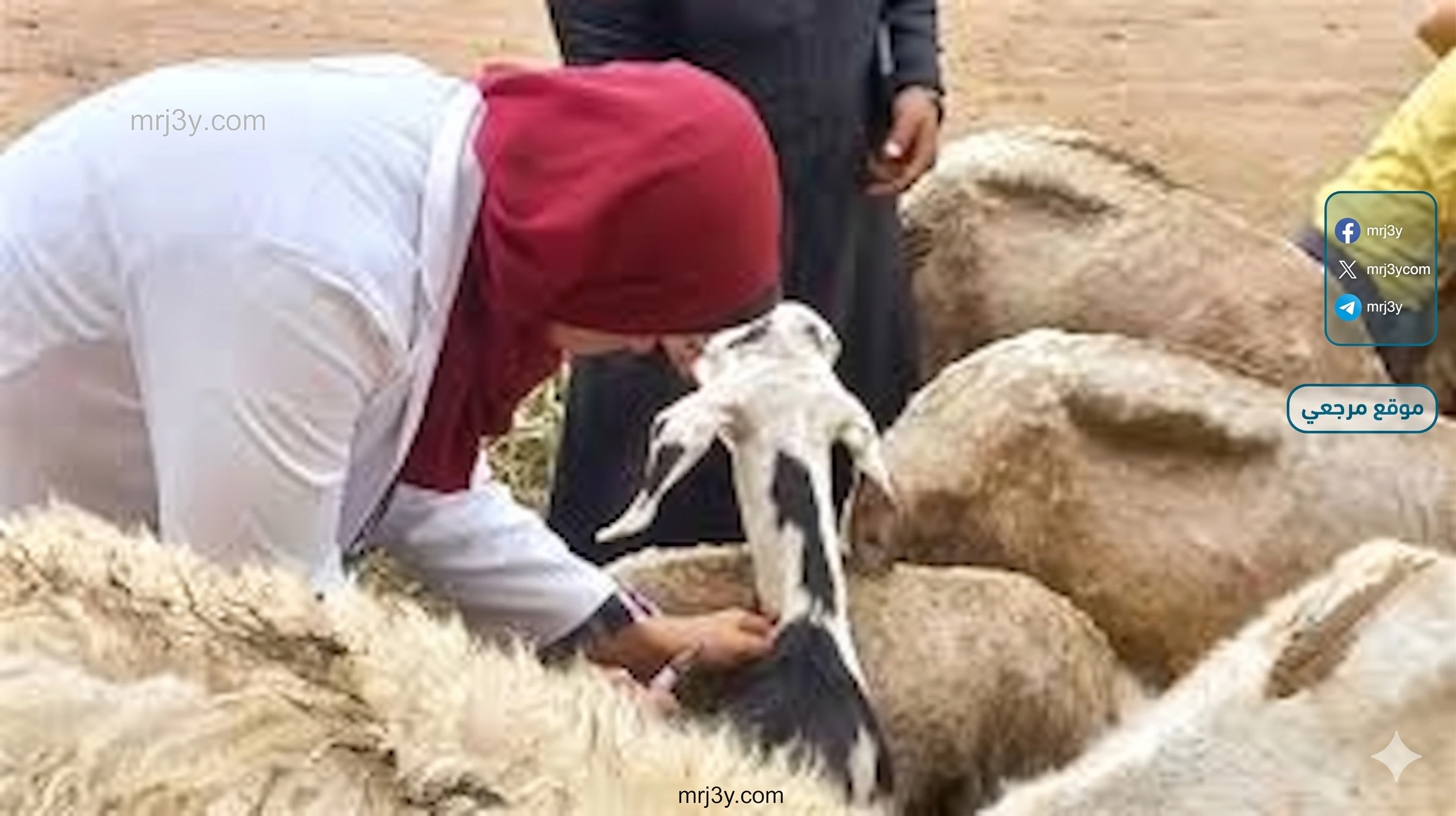 وزارة الزراعة