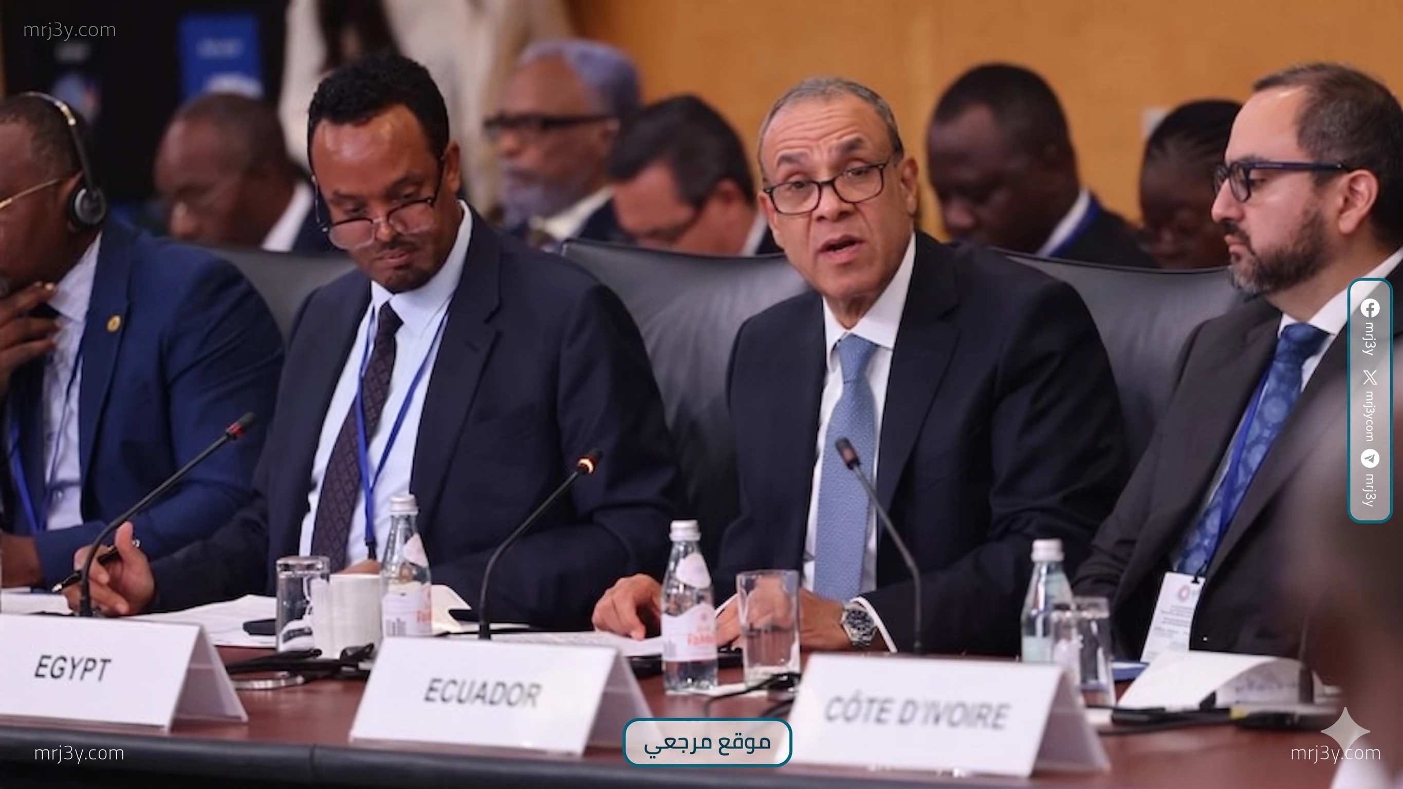وزير الخارجية يشيد بدور ضمان الاستثمار في مصر