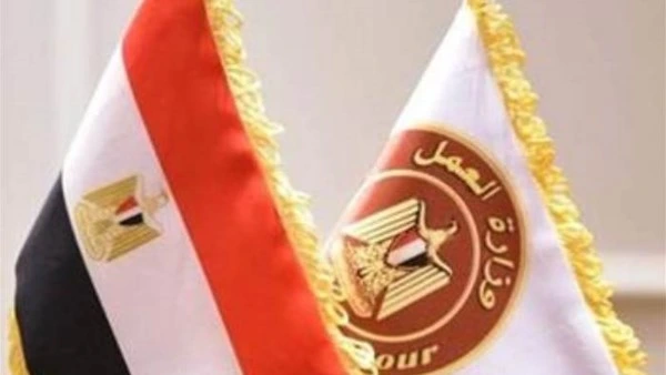 وظائف مطاعم مصر