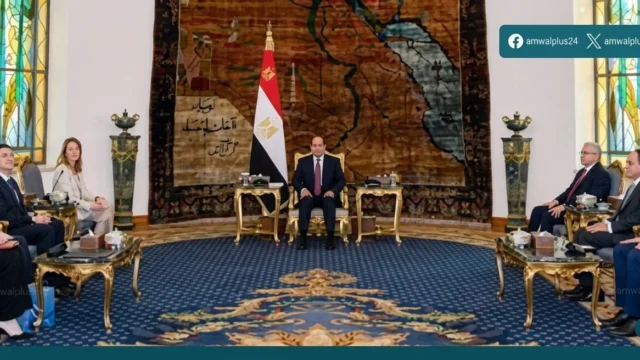 وزارة التضامن