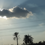 طقس الثلاثاء 5 مايو انخفاض الحرارة ورياح حتى 40 كم