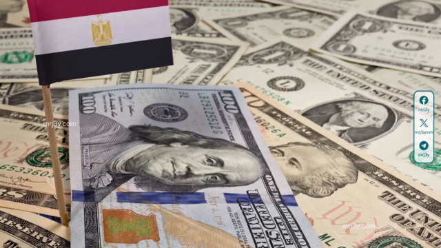 بيع أجنبي 23.8 مليار جنيه بأذون الخزانة والدولار عند 53.58
