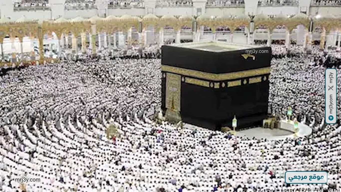 انطلاق رحلات الحج السياحي خلال أيام واستعدادات مكتملة لخدمة الحجاج
