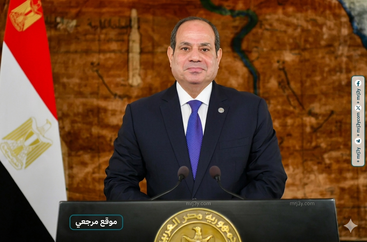 السيسي يبحث مع أمين منظمة التعاون تعزيز الشراكة الاقتصادية والتنموية
