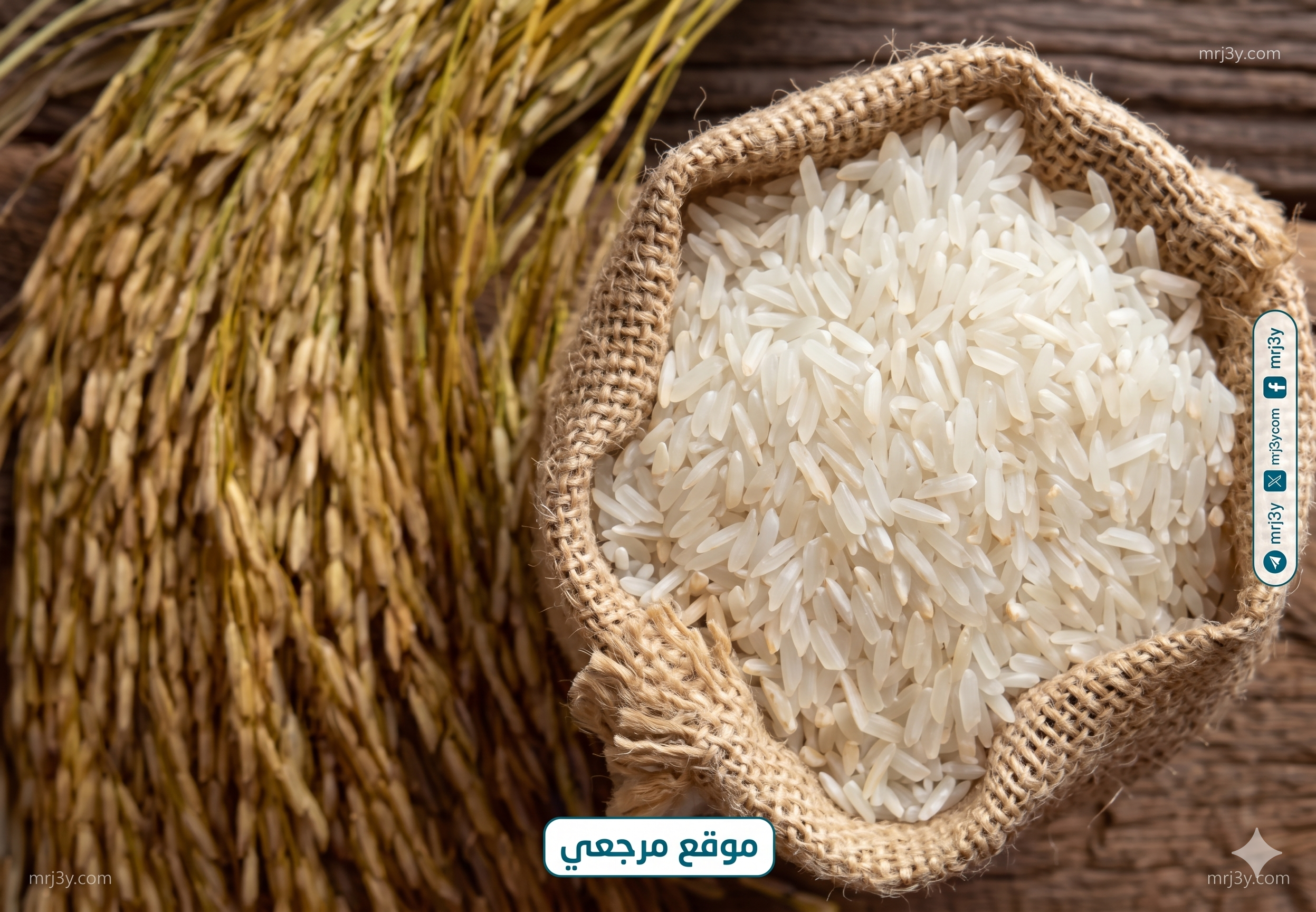 أسعار الأرز اليوم