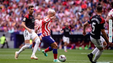 أتلتيكو مدريد وأوساسونا