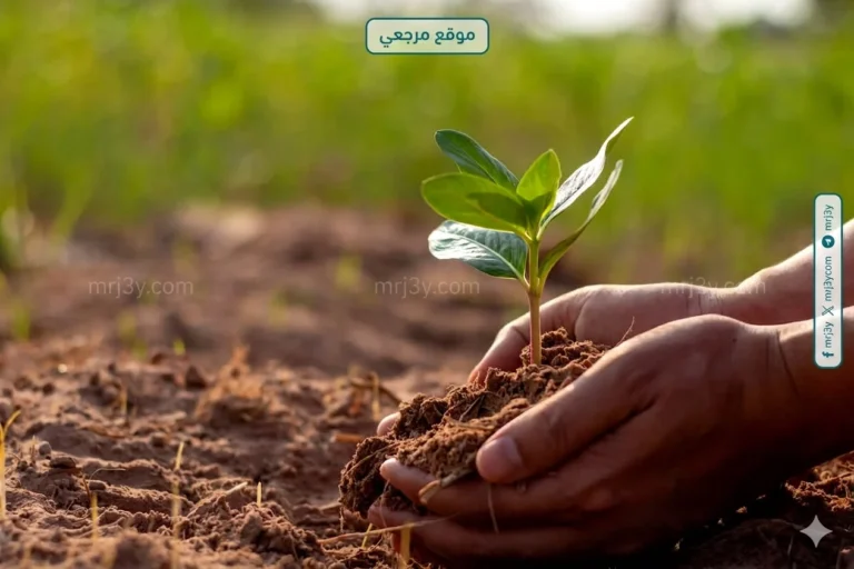 اتفاقيات جديدة لدعم التشجير وتنمية الغطاء النباتي في السعودية