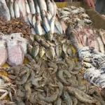 استقرار أسعار الأسماك مع استمرار ارتفاع الجمبري بالأسواق