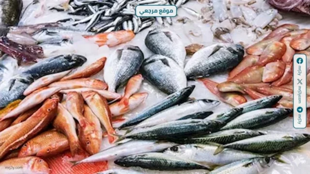 أسعار الأسماك