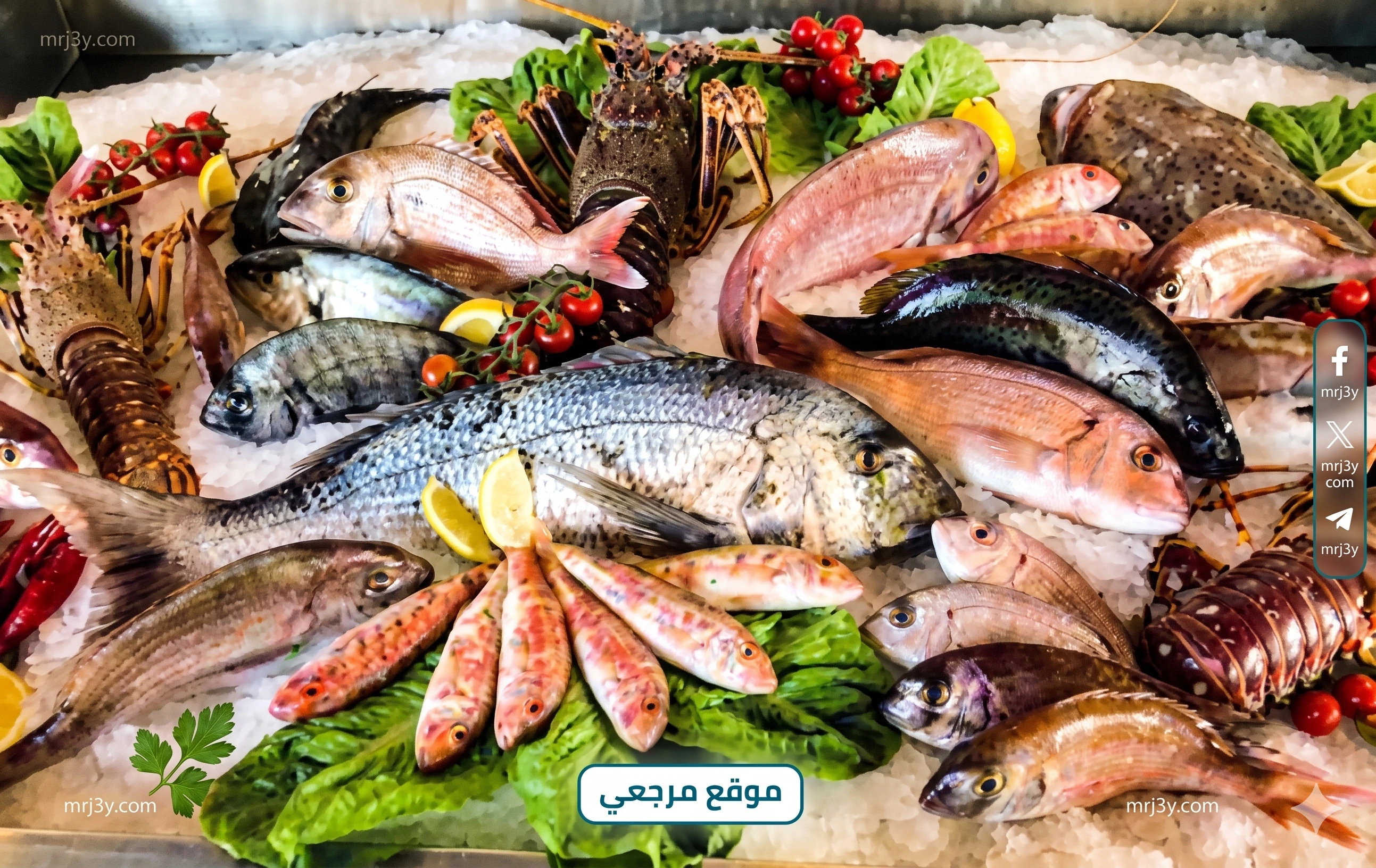 أسعار الأسماك اليوم
