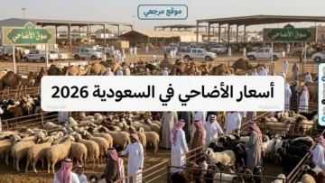 أسعار الأضاحي في السعودية 2026