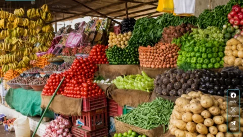 أسعار الخضروات والفاكهة اليوم