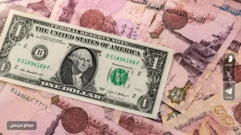 أسعار الدولار الآن أمام الجنيه المصري