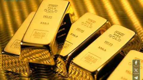 أسعار الذهب في مصر