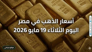 أسعار الذهب في مصر اليوم الثلاثاء 19 مايو 2026