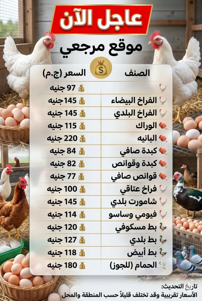 أسعار الفراخ البيضاء