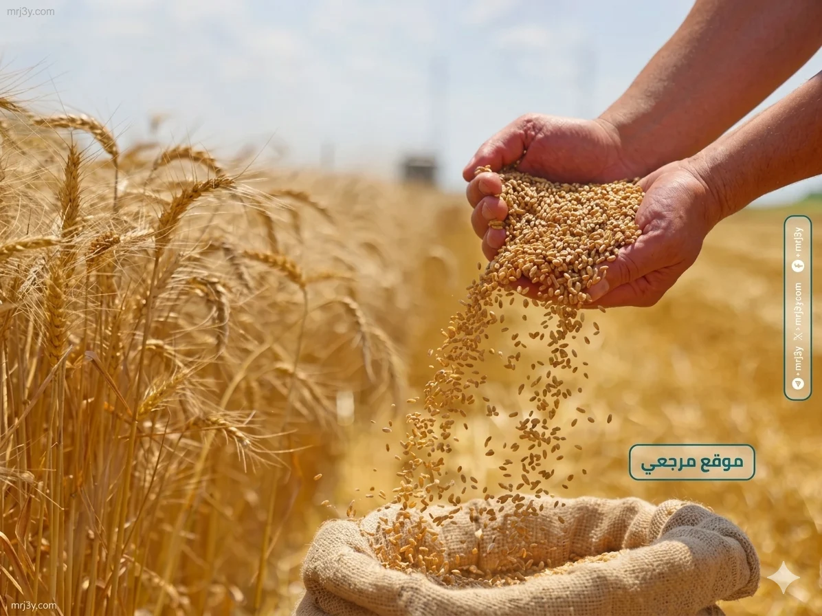 أسعار القمح
