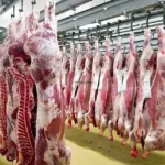 استقرار أسعار اللحوم في مطروح اليوم الثلاثاء 19 مايو