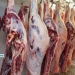 استقرار أسعار اللحوم بالأسواق مع زيادة المعروض قبل عيد الأضحى