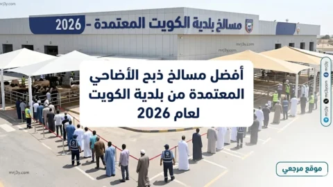 أفضل مسالخ ذبح الأضاحي المعتمدة من بلدية الكويت لعام 2026