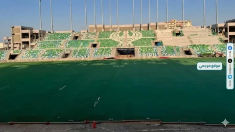 استاد المصري