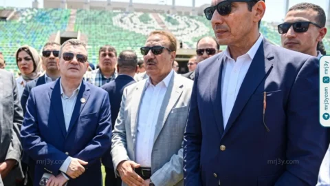 استاد المصري
