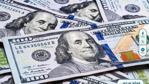 استقرار سعر الدولار أمام الجنيه بالبنوك خلال تعاملات الثلاثاء