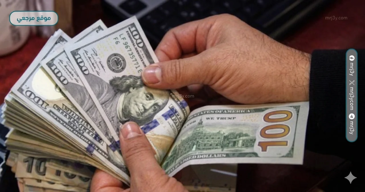 استقرار سعر الدولار أمام الجنيه بالبنوك اليوم