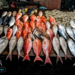 ثروة البحار: سعر الأسماك اليوم الثلاثاء 12 مايو 2026.. البلطي والجمبري تحت المجهر