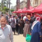 محافظ الإسكندرية يوجه بتوسيع أسواق اليوم الواحد استعدادا لعيد الأضحى