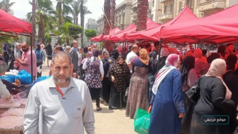 اسواق اليوم الواحد