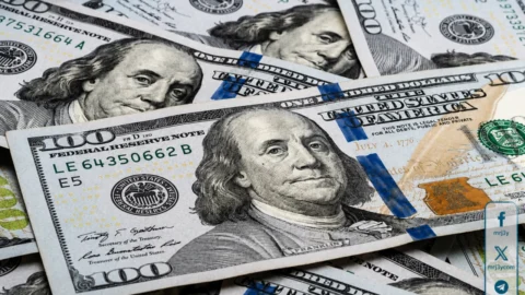 سعر الدولار اليوم الثلاثاء 12 مايو 2026
