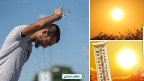 الأرصاد تكشف تراجع الحرارة 10 درجات