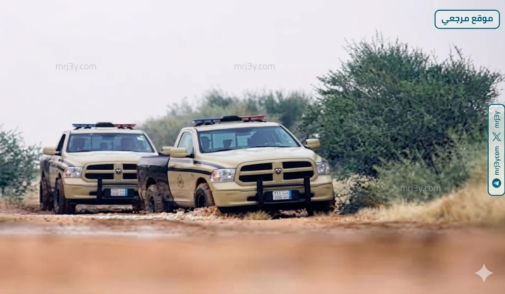 الأمن البيئي