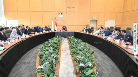 الإسكان
