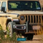 الأمن البيئي يضبط مخالفًا أشعل النار في غير المواقع المخصصة بمنطقة حائل