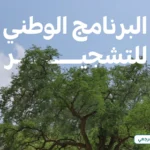 البرنامج الوطني للتشجير يوقع مذكرتي تفاهم لتعزيز الاستدامة البيئية بالرياض